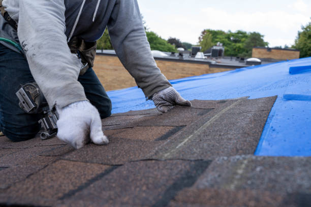 Best Chimney Flashing Repair  in Reno, OH